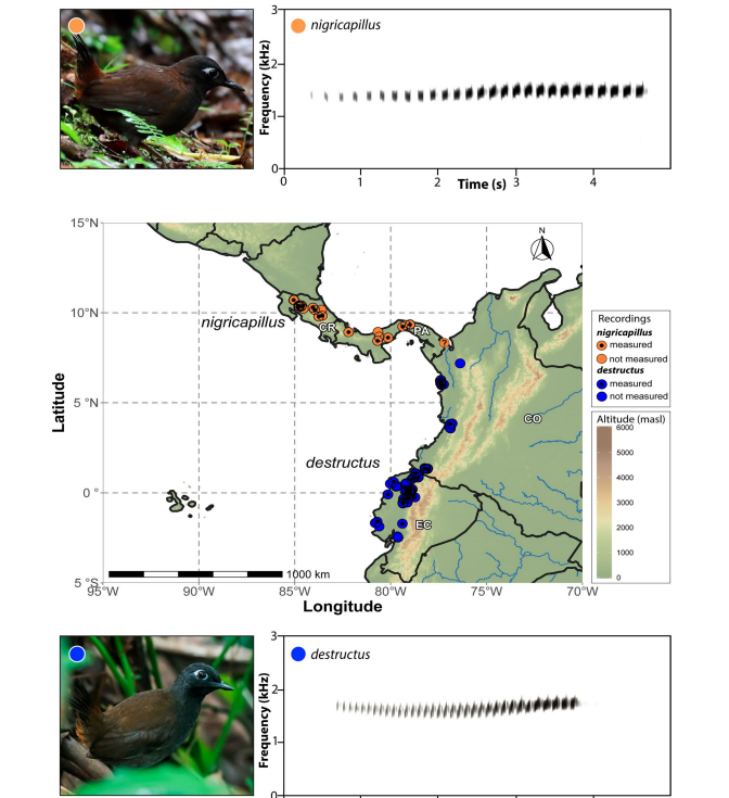 Implementación de sistemas automáticos de monitoreo sonoro